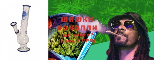 хмурый Арсеньев