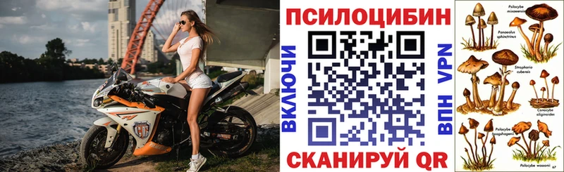 KRAKEN как зайти  Афипский  Псилоцибиновые грибы мицелий 
